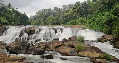 kallar